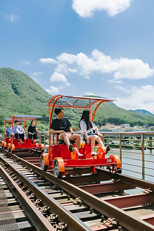 From Seoul: Full Day Trip to Alpaca Farm with Rail Bike - What the $59 price really covers