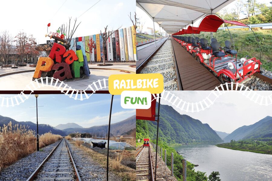 From Seoul: Full Day Trip to Alpaca Farm with Rail Bike - Starting in Seoul and riding into the countryside