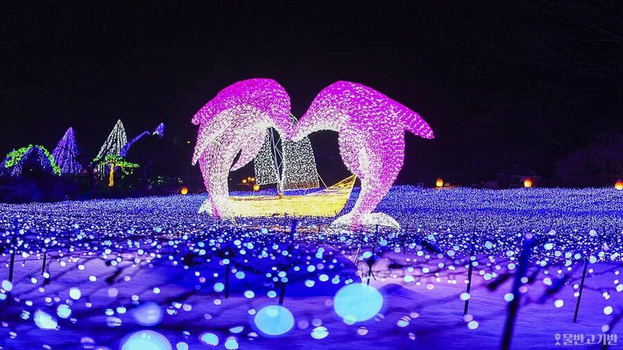 From Seoul: Hwacheon Ice Fishing and Lighting Festival Tour - Five details worth knowing before you book