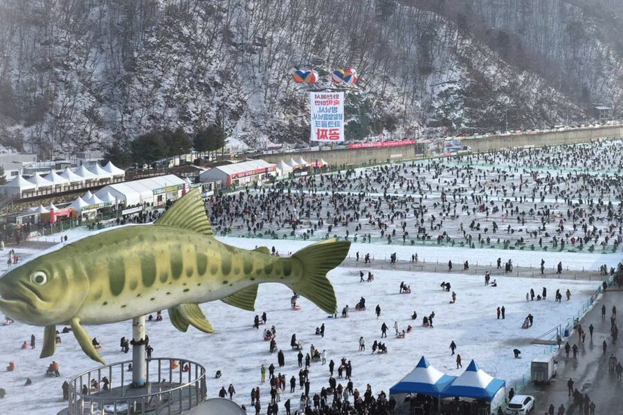 From Seoul: Hwacheon Ice Fishing and Lighting Festival Tour - Booking details that can affect your day