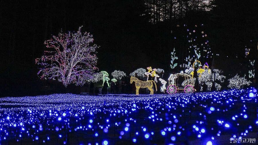 From Seoul: Hwacheon Ice Fishing and Lighting Festival Tour - Hwacheon Sancheoneo Ice Festival by day