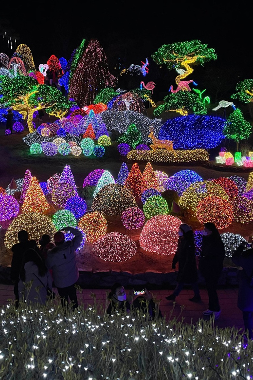 From Seoul: Hwacheon Ice Fishing and Lighting Festival Tour - Fresh trout, street food, and the practical side of fishing