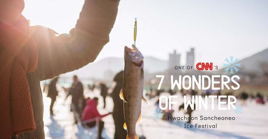 From Seoul: Hwacheon Ice Fishing and Lighting Festival Tour - Garden of Morning Calm after dark