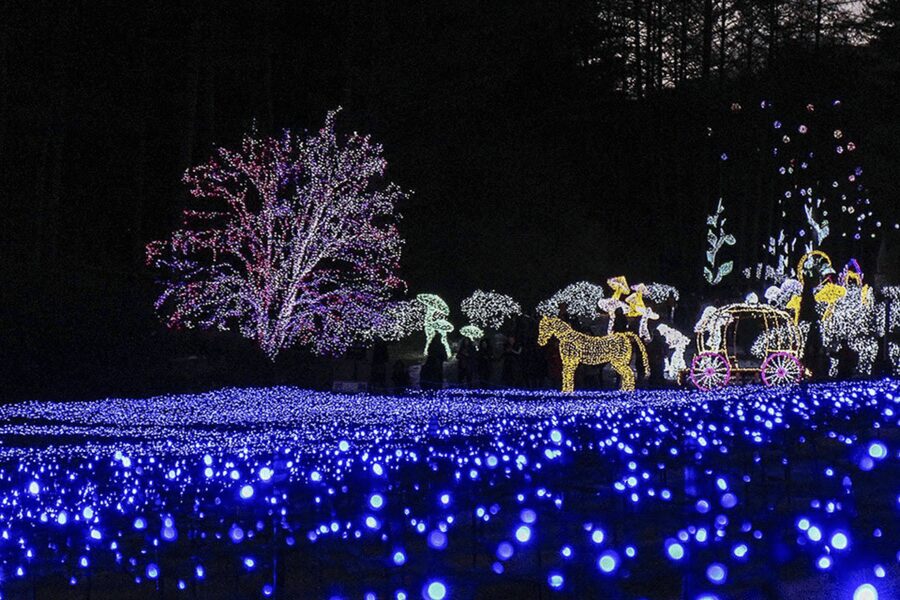 From Seoul: Hwacheon Ice Fishing and Lighting Festival Tour - What the $67 price really buys you
