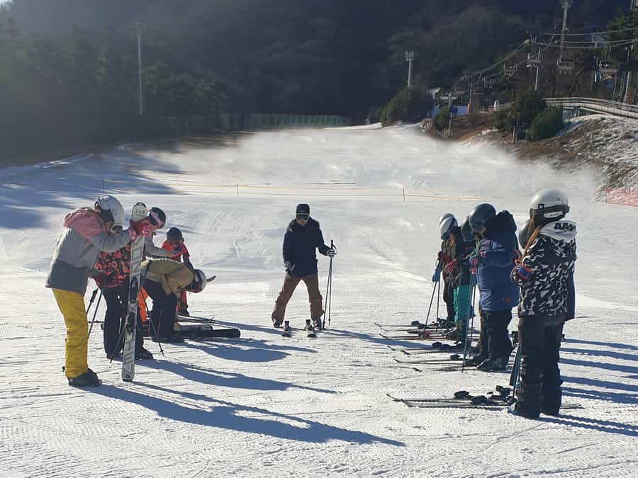 From Seoul: Korea Ski Tour - Jisan Forest Resort - Practical advice for a smoother ski day