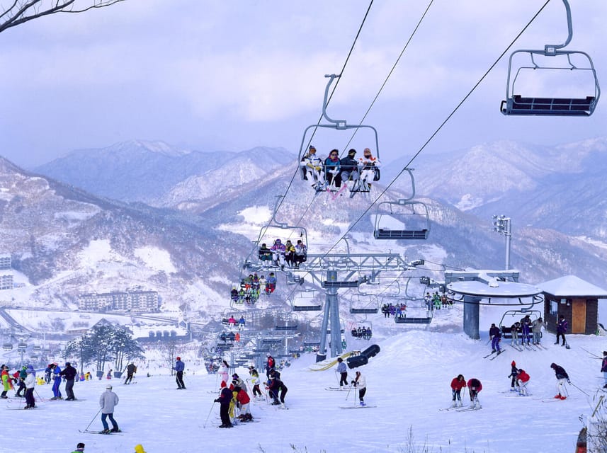 From Seoul: Korea Ski Tour - Jisan Forest Resort - Returning to Seoul around 6 pm