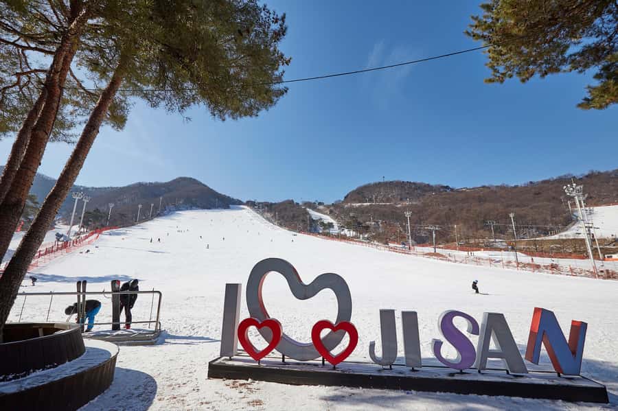 From Seoul: Korea Ski Tour - Jisan Forest Resort - Who will get the most from this trip