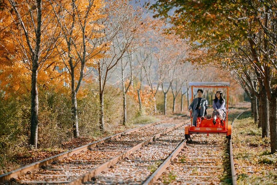 From Seoul: Nami Island, K-drama Garden & Rail Bike Day Tour - Lunch in the countryside, with food paid separately