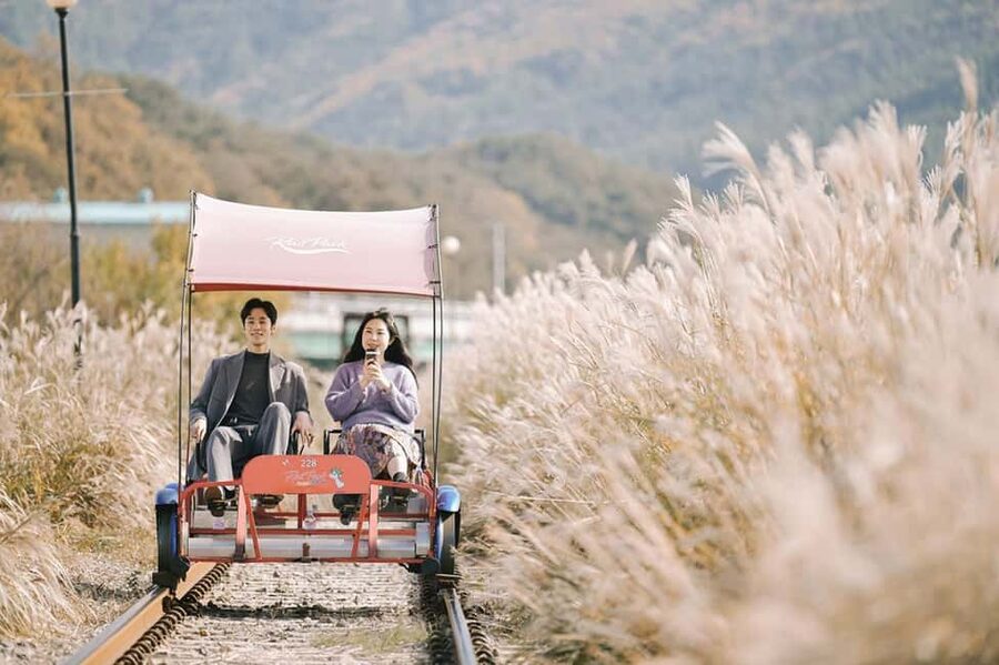 From Seoul: Nami Island, K-drama Garden & Rail Bike Day Tour - Garden of Morning Calm: Korea’s quiet opening act