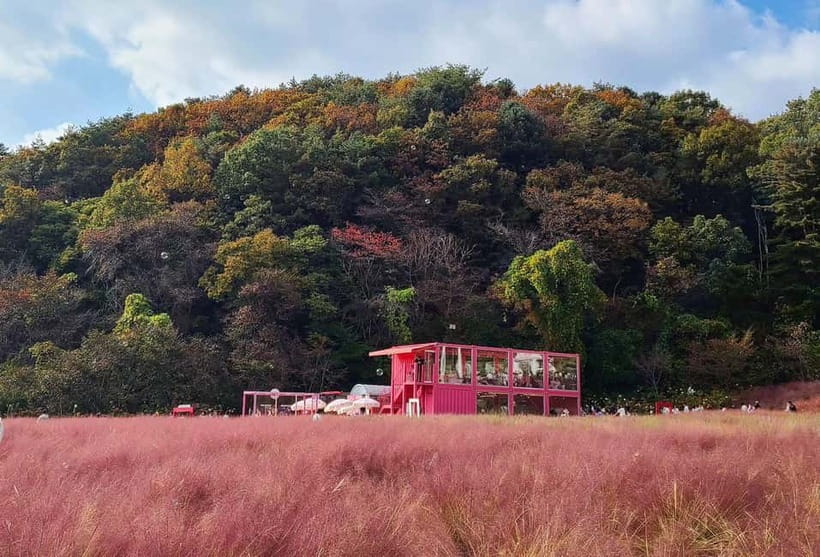From Seoul: Pocheon, Sanjung Lake and Bidulginang Fall Trip - Key points to know before booking