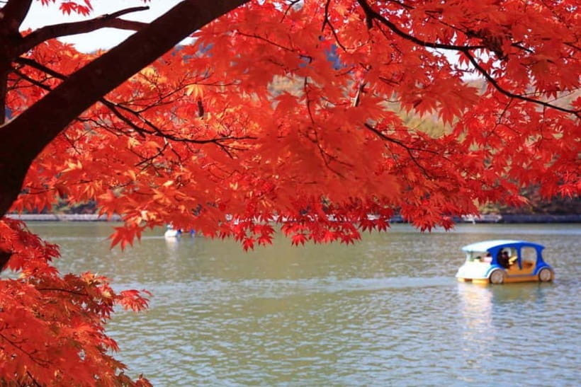 From Seoul: Pocheon, Sanjung Lake and Bidulginang Fall Trip - Herb Island and the Pink Muhly Grass season