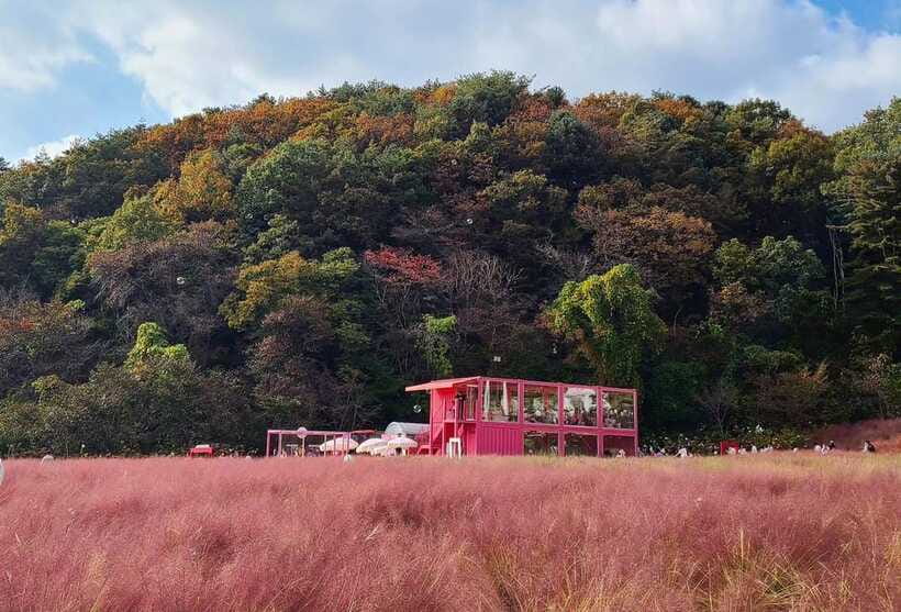 From Seoul: Pocheon, Sanjung Lake and Bidulginang Fall Trip - Four places, free time, and the shape of the day