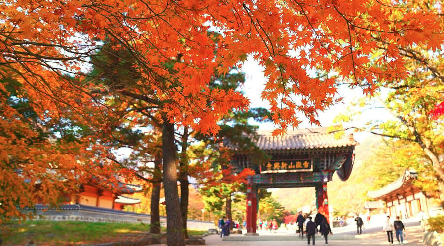 From Seoul: Seoraksan Mountain with Cable Car- Shuttle Bus - Key Points Before You Book