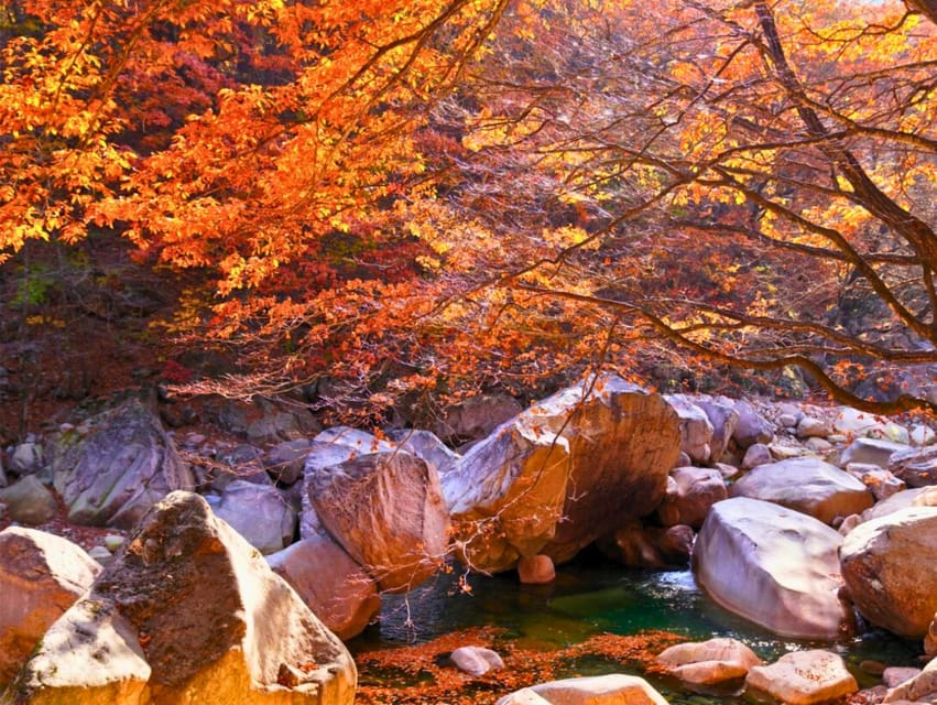 From Seoul: Seoraksan Mountain with Cable Car- Shuttle Bus - Practical Ways to Improve Your Day