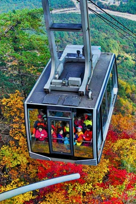 From Seoul: Seoraksan Mountain with Cable Car- Shuttle Bus - How Good Is the $67 Value?