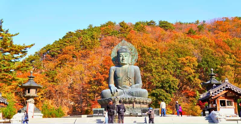 From Seoul: Seoraksan Mountain with Cable Car- Shuttle Bus - Who Will Enjoy This Experience Most?