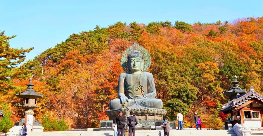 From Seoul: Seoraksan Mountain with Cable Car- Shuttle Bus - The Ride From Seoul: Convenient but Traffic-Sensitive