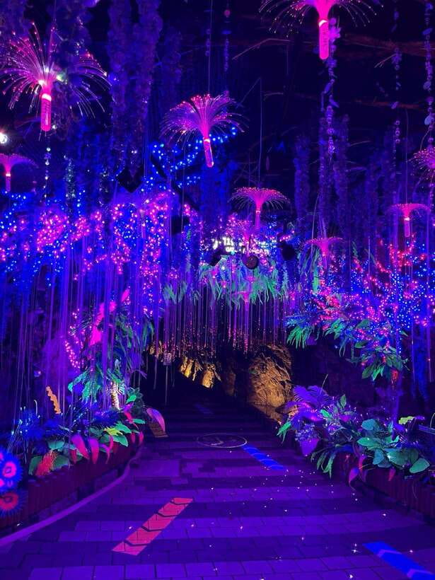 From Seoul: Starfield Library, Hwaseong, Gwangmyeong Cave - Who should book this outing?