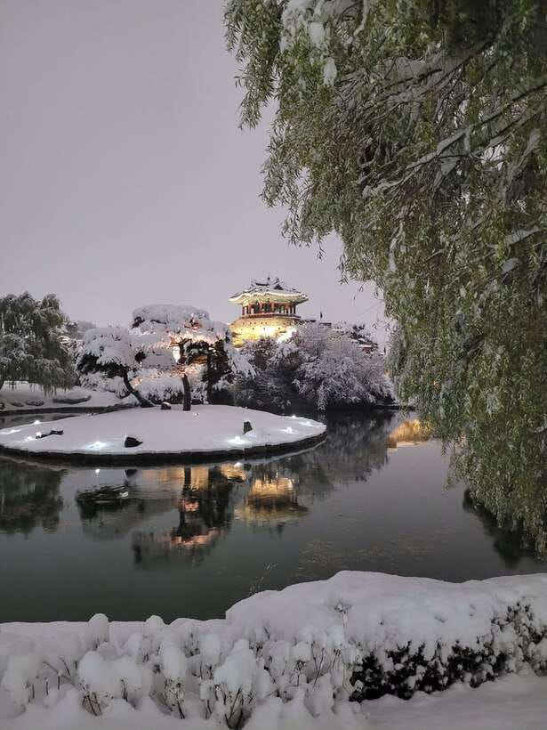 From Seoul: Suwon Hwaseong Fortress Night Tour - Key points at a glance