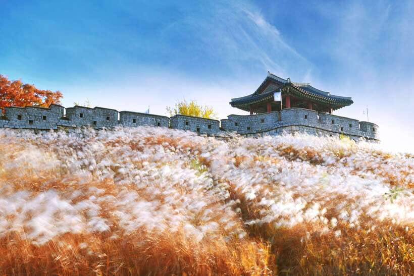 From Seoul: Suwon Hwaseong Fortress Tour - Key points to know before booking