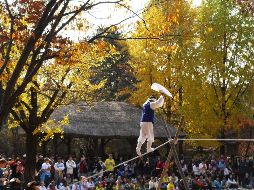 From Seoul: Suwon Hwaseong Fortress Tour - The half-day and full-day choices