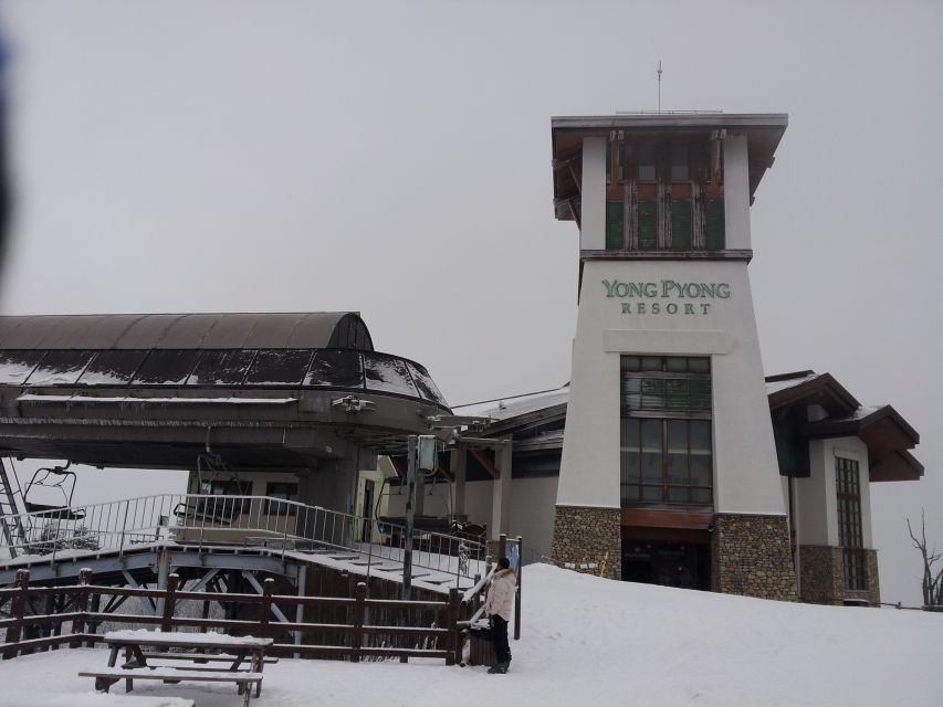From Seoul: Yongpyong Ski Day Tour with Transportation - Why Yongpyong Works for a Seoul Winter Day