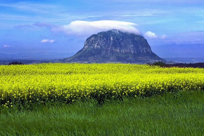 Full Day 12 hours whole Jeju Island private flexible tour - Key points to know before booking
