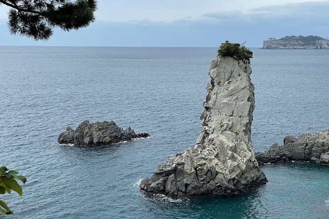 Full Day 12 hours whole Jeju Island private flexible tour - Private transportation and the value of time