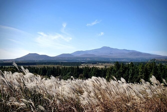 Full Day 12 hours whole Jeju Island private flexible tour - Building your custom Jeju itinerary