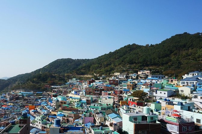 Full Day Busan and Gyeongju Guided Tour - Key points to know before booking