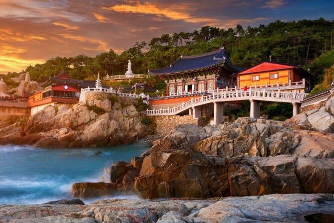 Full-Day Busan Highlights Private Guided Tour - Why this private Busan day works