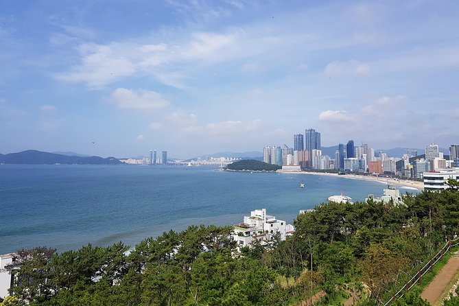 Full Day Busan Tour Including Haedong Yonggungsa Temple - Key points at a glance