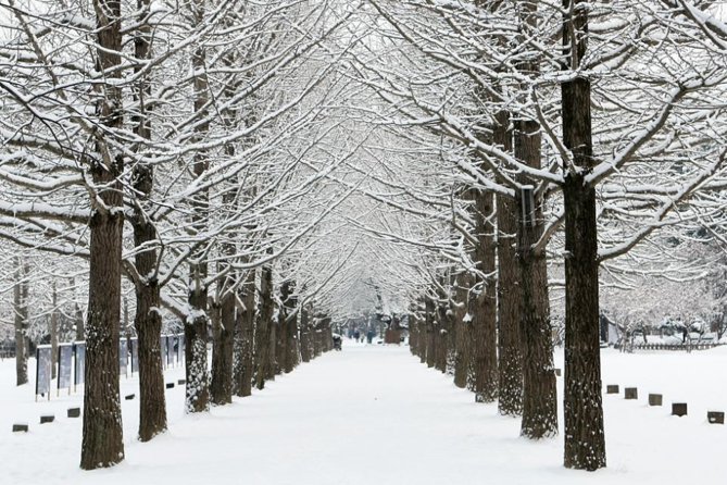 Full-Day Customizable Private Tour to Nami Island and surrounding Area - Gangchon Rail Park adds movement to the day