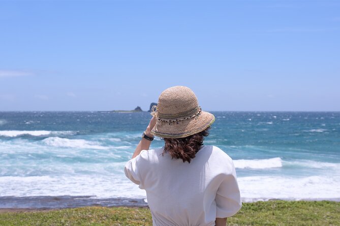 Full Day Essential Jeju Island Private tour for West Course - What this private Jeju tour is really offering