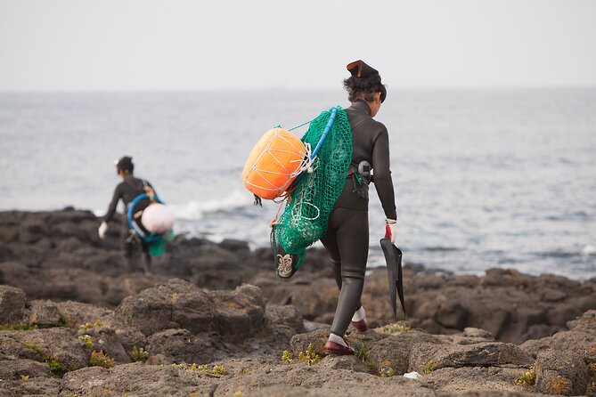 Full Day Essential Jeju Island Private tour for West Course - Lunch, transport, and the small details that matter