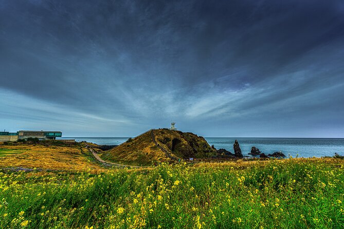 Full-Day Jeju Island UNESCO Tour for Cruise Layover Guests - Why This Tour Makes Sense for a Cruise Stop