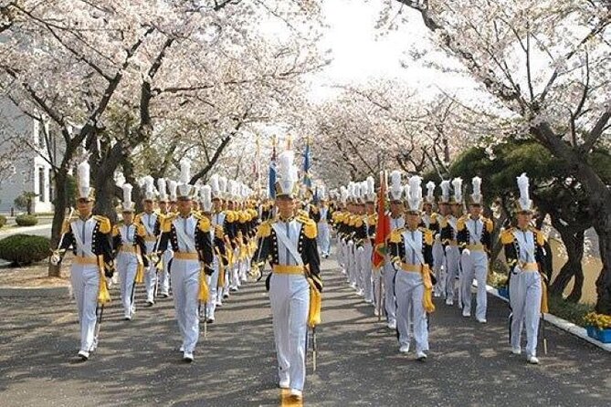 Full-Day Jinhae Cherry Blossom festival Private tour - Gyeonghwa Station: railway views and classic blossom photos