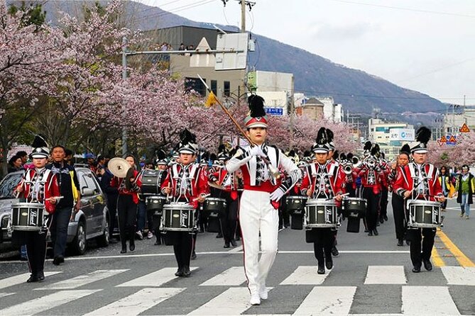 Full-Day Jinhae Cherry Blossom festival Private tour - Jehwangsan Park: a tower above the city