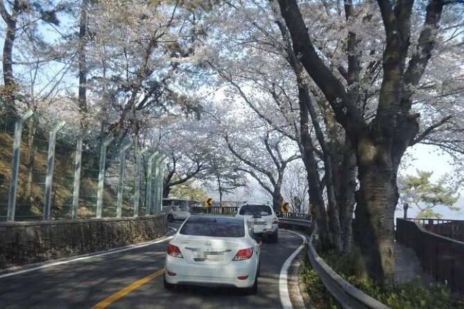 Full-Day Jinhae Cherry Blossom festival Private tour - Jangboksan Sculpture Park: a final mountain view