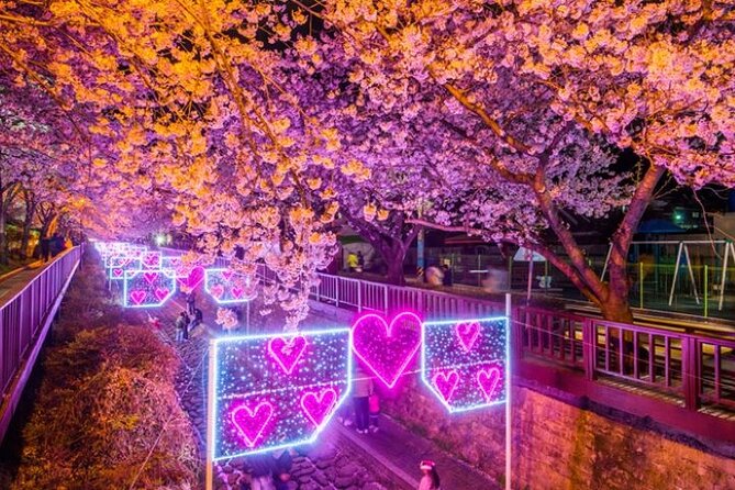 Full-Day Jinhae Cherry Blossom festival Private tour - Anmingogae Pass: six kilometers of flowers on a hill road
