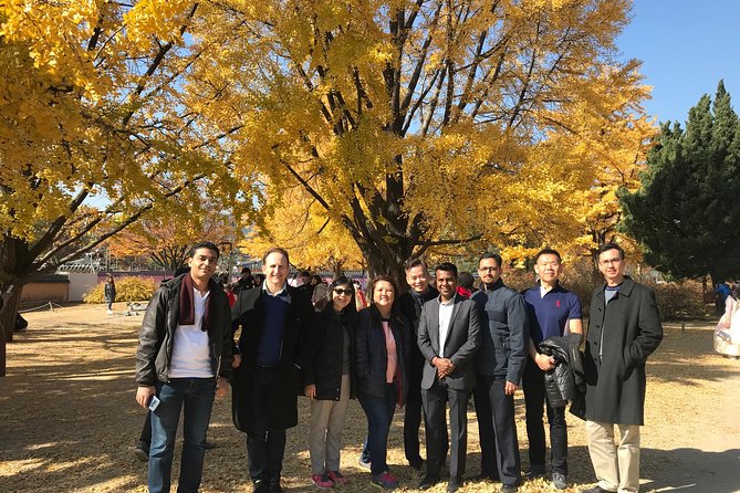 [ Full Day ] Nami Island & Petit France From Seoul - Who will enjoy this day most