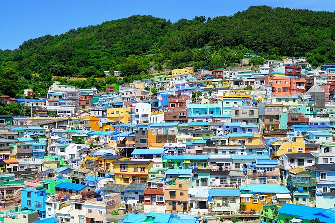 Full Day Private Busan Highlight Tour with Licensed Guide - Busan Tower and the old downtown markets