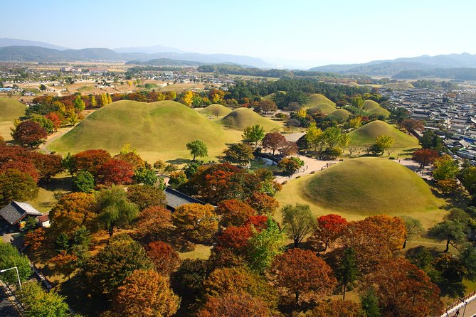 Full day Private Gyeongju UNESCO Heritage Tour : a glimpse into Silla - Daereungwon and the royal tombs