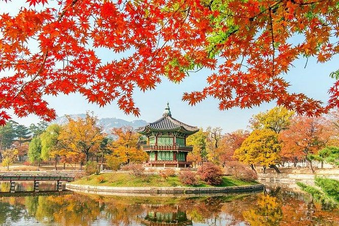 Full Day Private Seoul Tour for foodies - Choosing the right day trip beyond Seoul