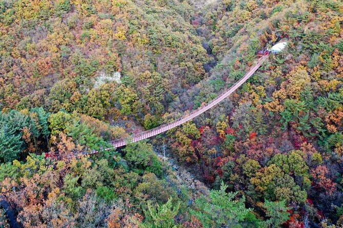Full Day Private Tour DMZ (The 3rd Tunnel) & Suspension Bridge - History, scenery, and the risk of a rushed feeling