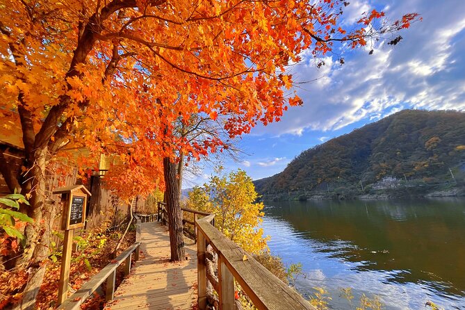 Full Day Private Tour Nami Island, Garden & Petite France - Petite France, a Korean take on a French village