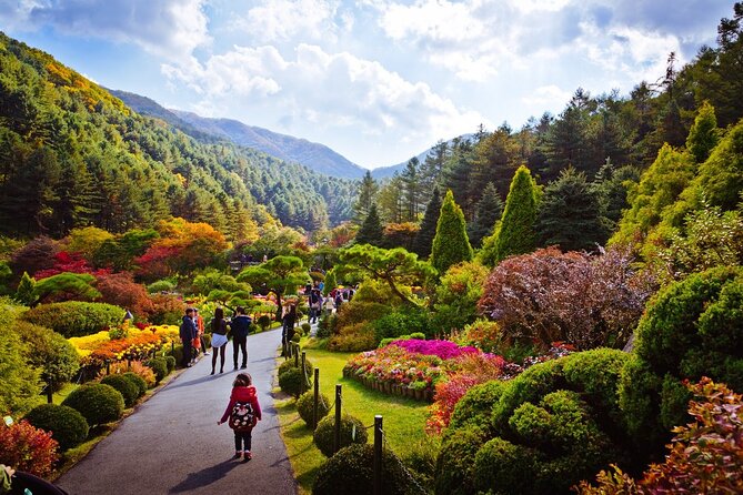 Full Day Private Tour Nami Island, Garden & Petite France - Pinocchio and Da Vinci brings in Italy