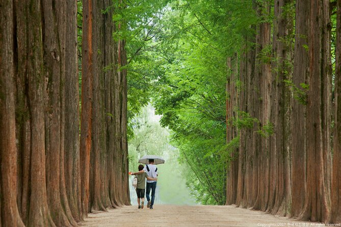 Full Day Private Tour Nami Island, Garden & Petite France - What private transportation changes