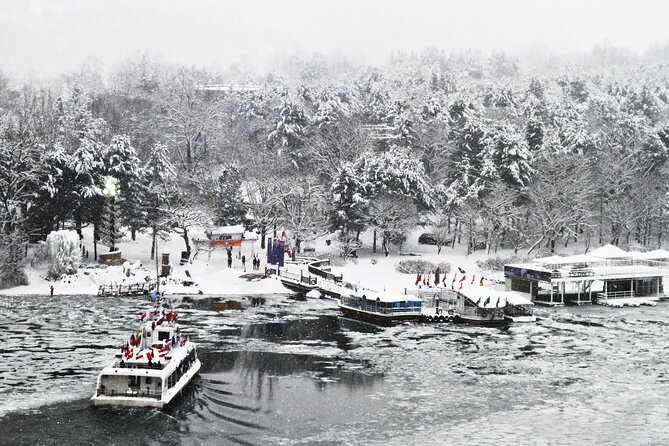 Full Day Private Tour Nami Island, Garden & Petite France - Who will enjoy this Seoul day trip?