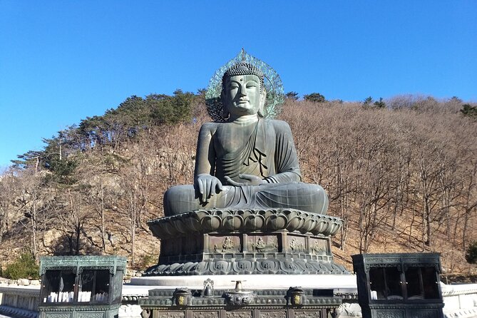 Full-Day Tour in Mt. Seorak & Nami (+Rail Bike Option) - Walking through Nami Island